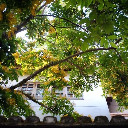 Mali Home Hoi An Dış mekan fotoğraf