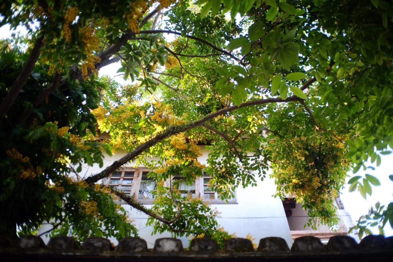 Mali Home Hoi An Dış mekan fotoğraf
